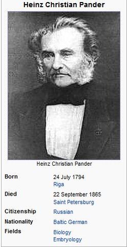 Heinz Christian Pander