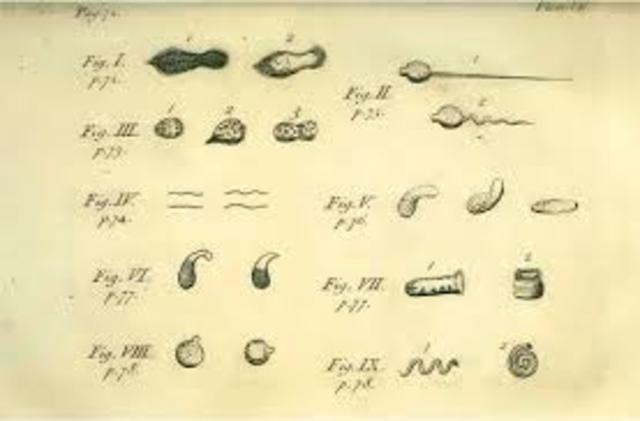 Descubrimiento de los microorganismos