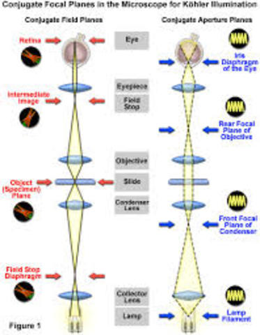Iluminación de Köhler
