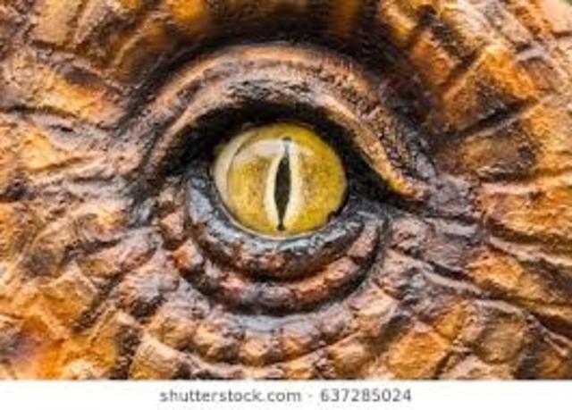 the dinosaur opened their eyes