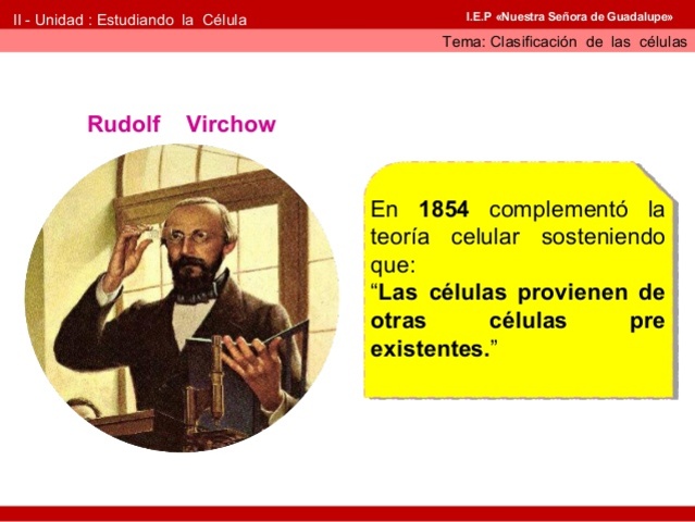 Rudolf Virchow