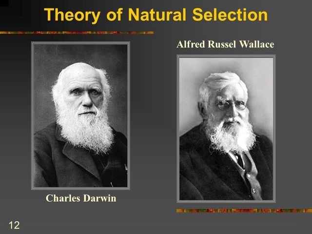 Charles Darwin- Alfred Russell Wallace