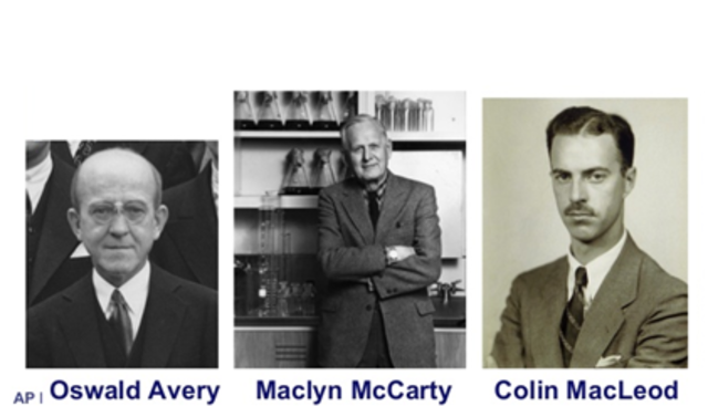 Avery, McLeod y McCarty