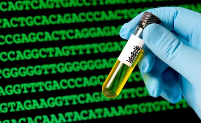 Biología sintética