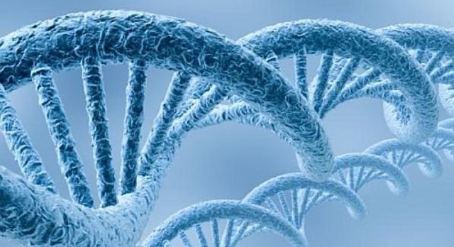 Proyecto del Genoma Humano (1990-2003)