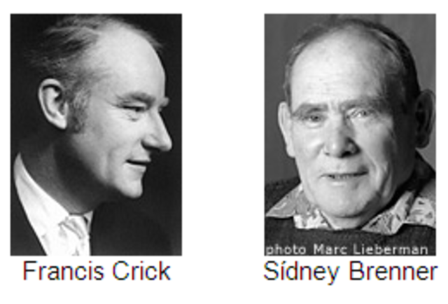 Francis Crick y Sidney Brenner