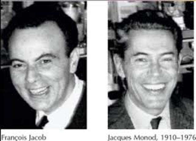 François Jacob y Jacques-Lucien Monod