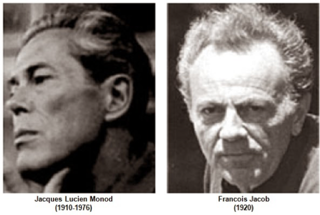 François Jacob  y Jacques Lucien Monod