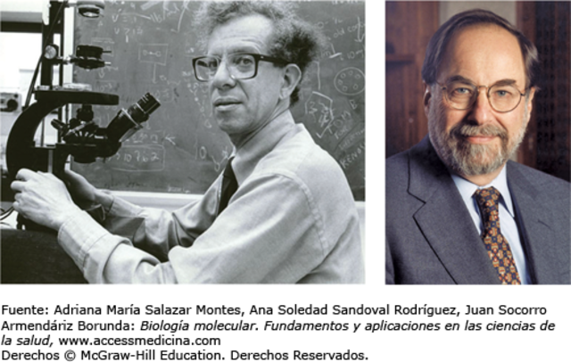 Howard Martin Temin y David Baltimore