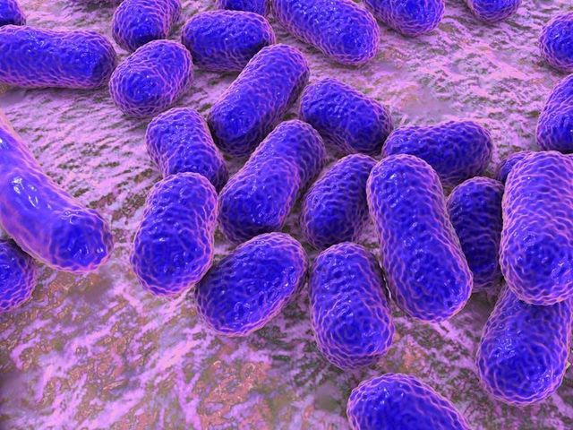 Hormonas humanas en bacterias.