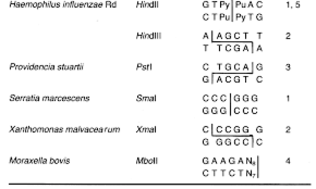 sistema controlado de restricción-modificación