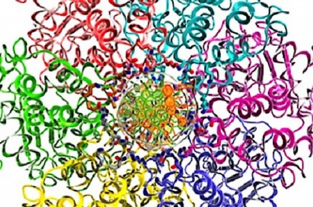 Funcionamiento de un complejo de proteínas implicadas en casos de cáncer y enfermedades raras