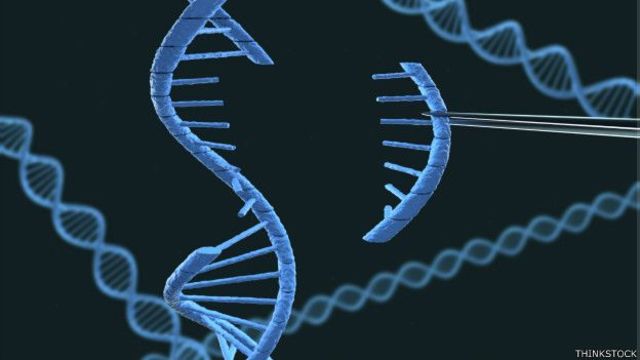 primer genoma artificial