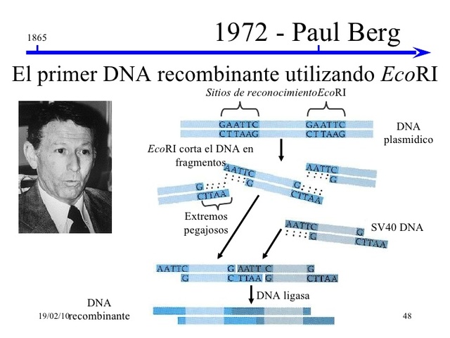 Paul Berg: ADN recombinante
