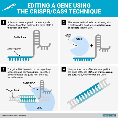 CRISPR-cas9