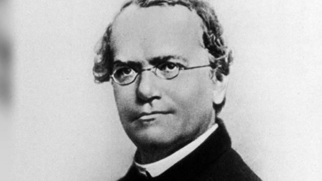 Gregor Mendel