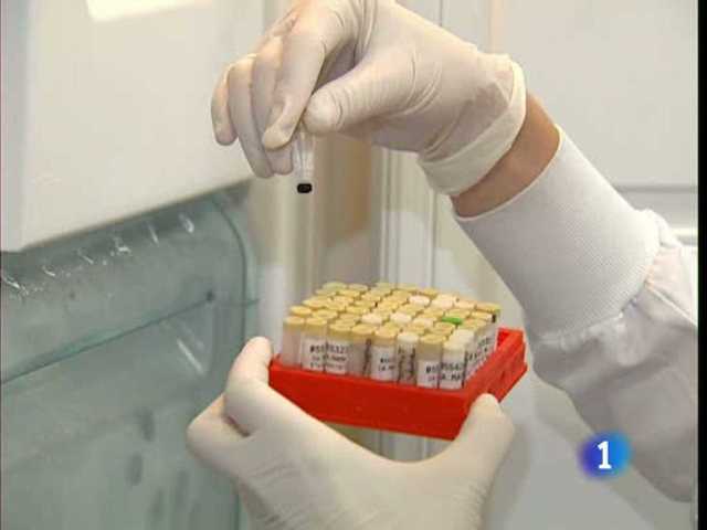 Primer borrador del genoma