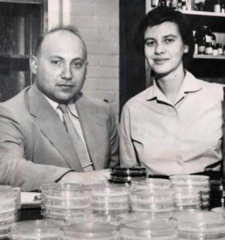 Joshua Lederberg  y Edward Tatum