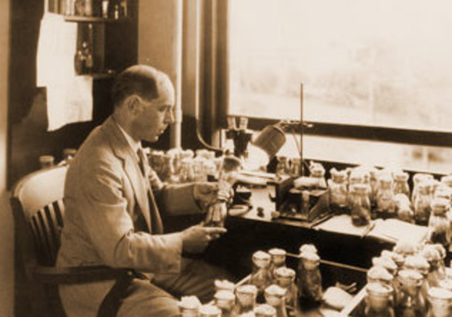 Hermann J. Muller & Lewis J. Stadler