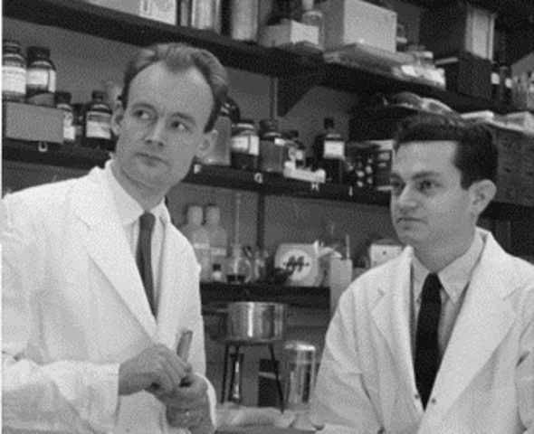 Heinrich Matthaei & Marshall Nirenberg