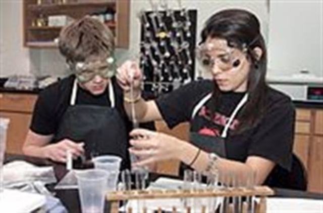 Estructura y contenidos de los proyectos y cursos CTS, Aikenhead (1994))