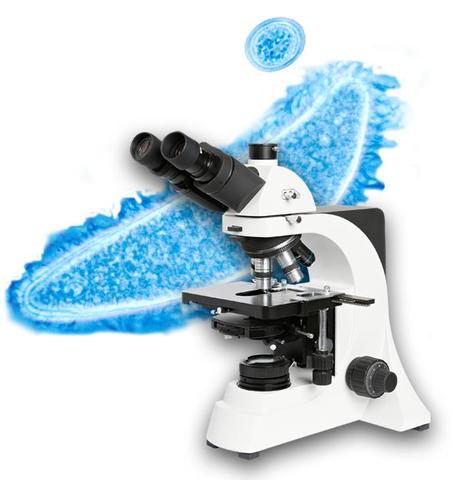 Microscopios modernos Siglo XX