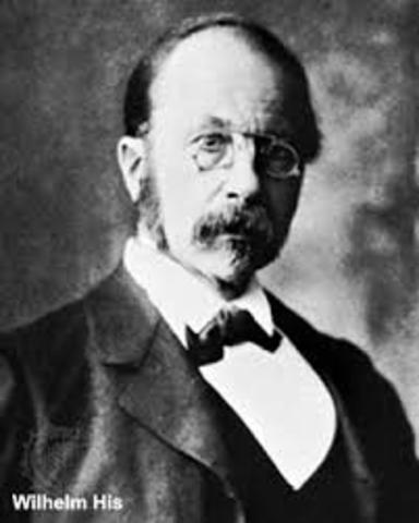 Wilhelm Roux (1850–1924)