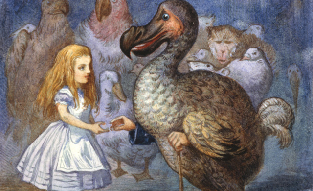 The Dodo became popular