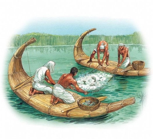 Rise of Fishing Boat Transport