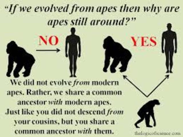 Publication of: On the Origin of Species by means of Natural Selection