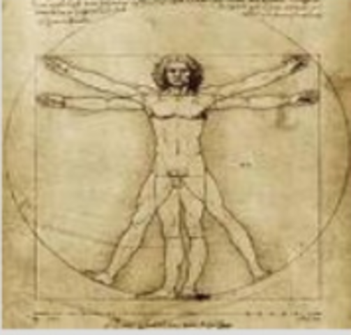 El hombre de Vitrubio