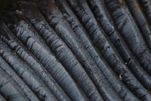 Vulcanizado, Charles Goodyear