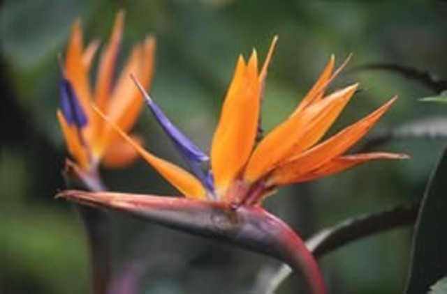 Plan de Acción de Biodiversidad.