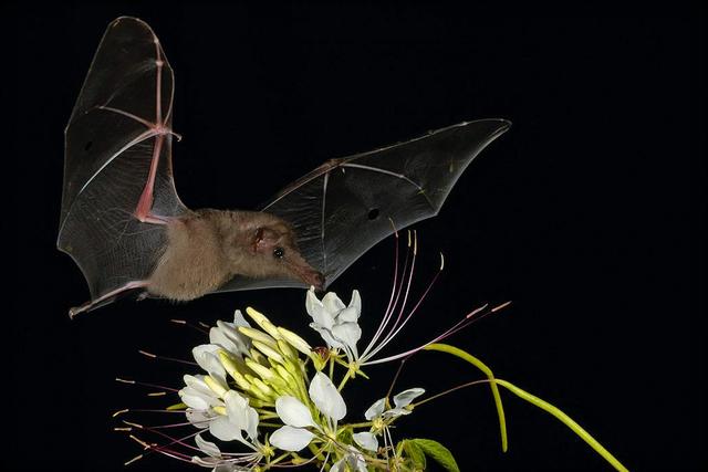 21,5 million years ago