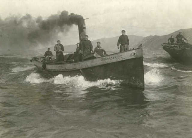 etapa de la comunicacion