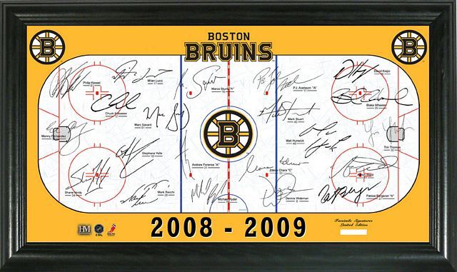 2008-2009 Season Summary