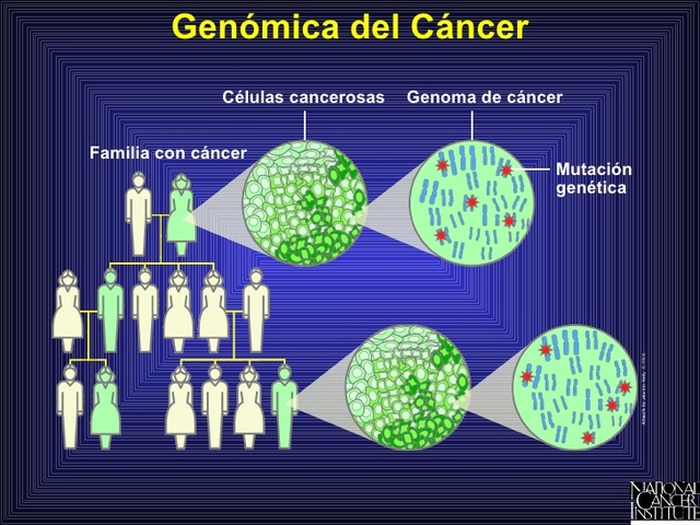 genetica