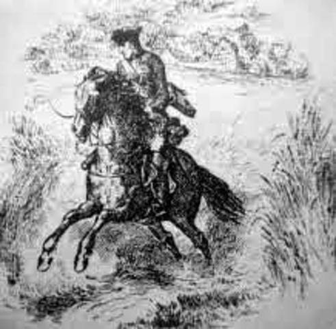 utilizacion de animales