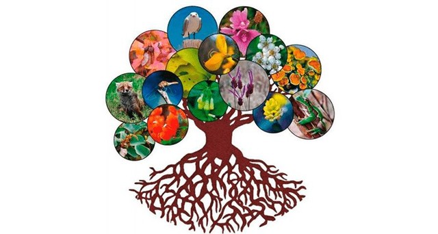 La desmaterialización de la economía