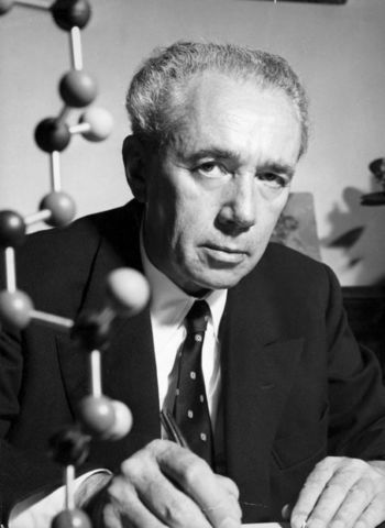 Paul Hogan y Robert Banks