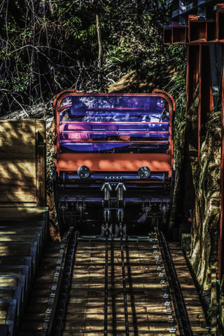 First Scenic Railway