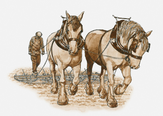 la agricultura y el arado