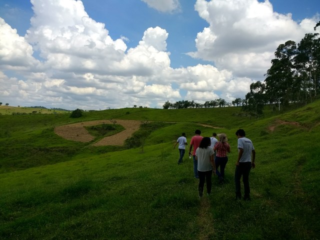 Avaliação de plantio de Mudas