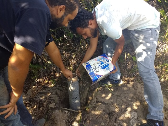 Instalação de piezômetros e replantio de mudas.