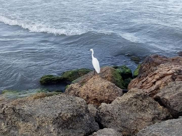 Y ESTE AÑO CARTAGENA