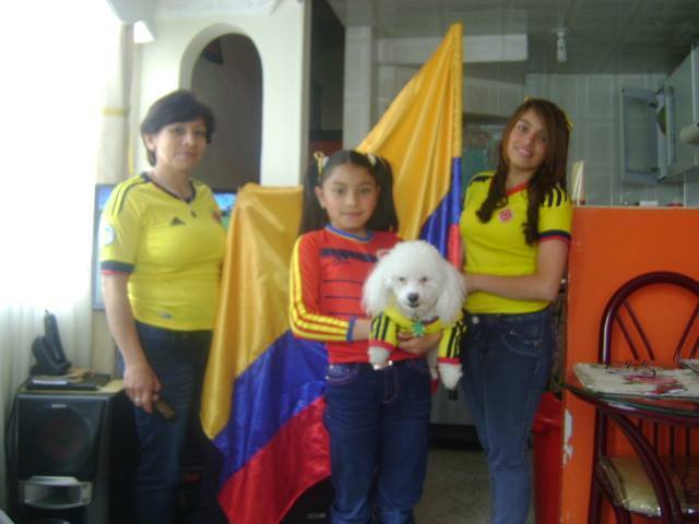 Los partidos de Colombia