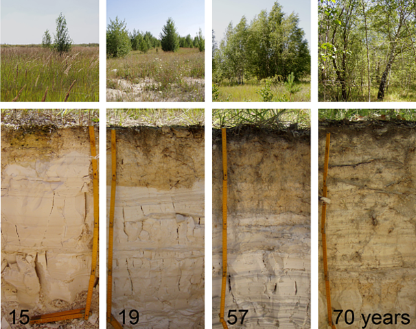 "Bodenkunde" libro de la Ciencia del Suelo (Sprengel, 1837)
