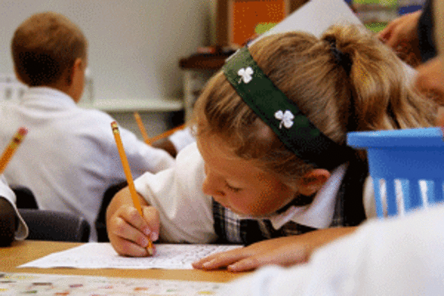 my first year of classes