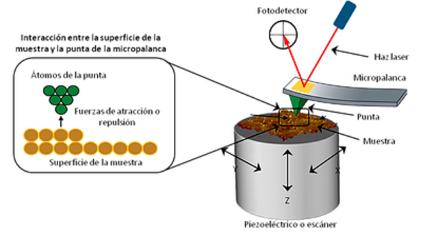 Gerd Binnig y Heinrich Rohrer