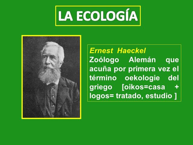 Término Ecología